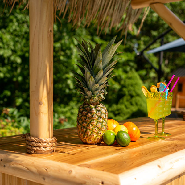 Southern Fantasy Tiki Bar by Leisurecraft